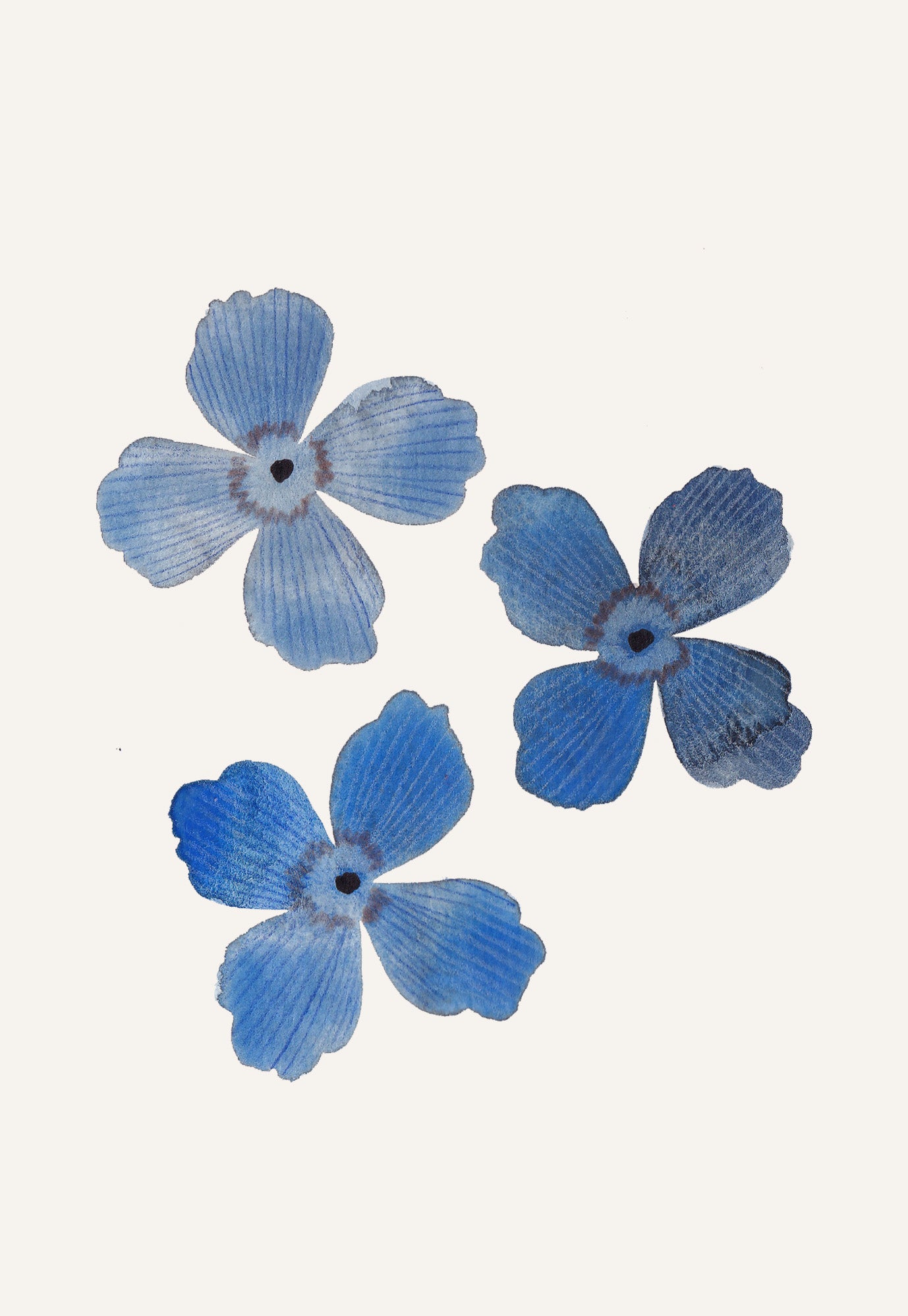 Hand Painted 'Pressed Flower' Greeting Cards - Blue