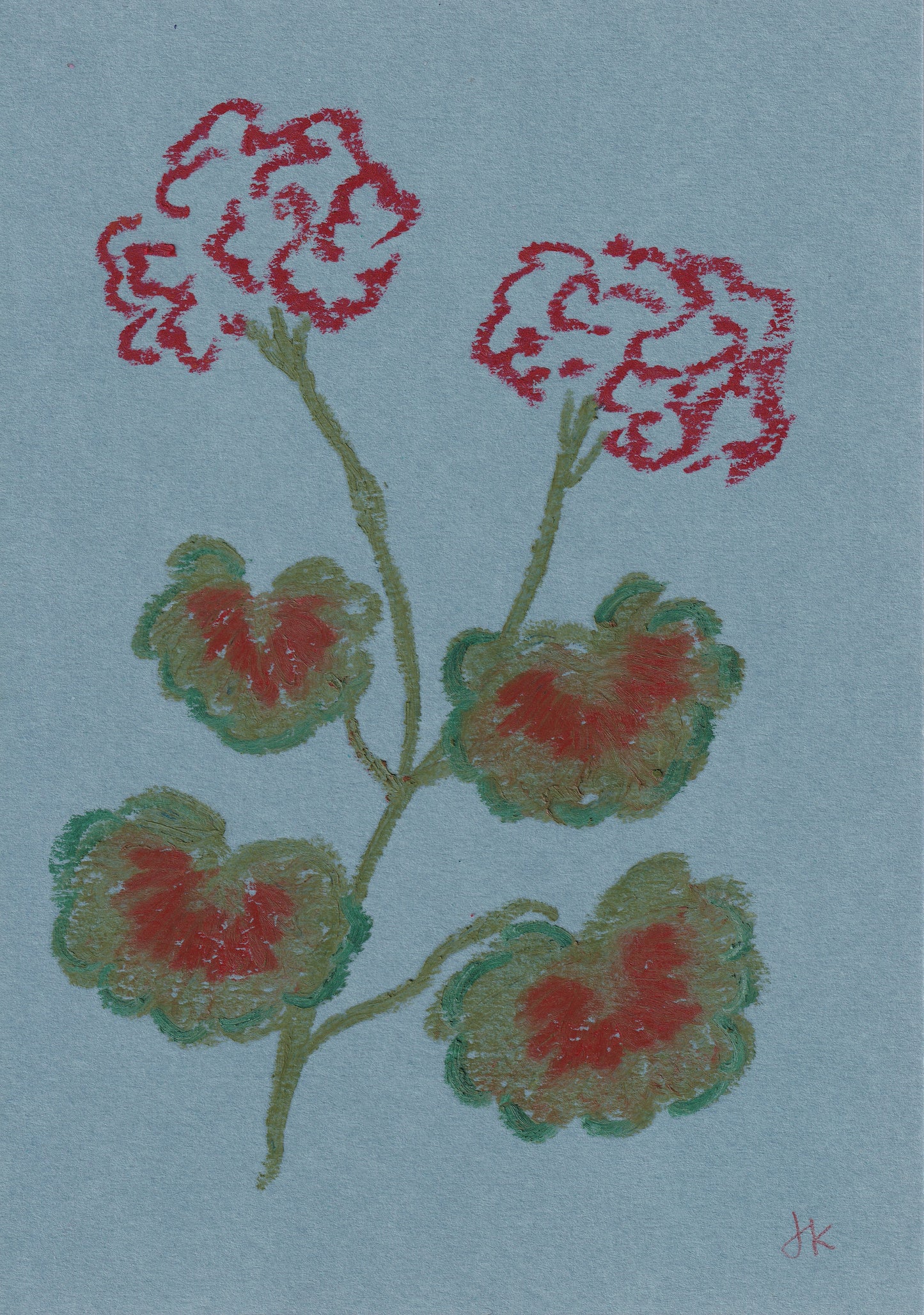Pelargonium Drawing I